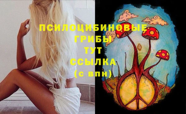 соль ск Беломорск