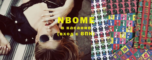 гидра Богданович