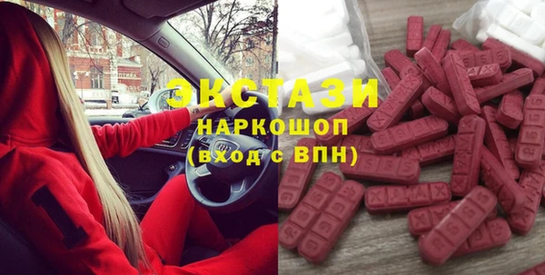 гидра Богданович