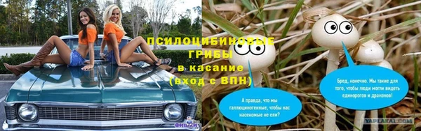 mix Богородск