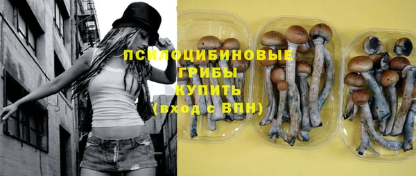 гидра Богданович