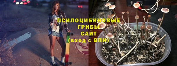 соль ск Беломорск