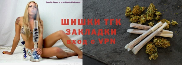 гидра Богданович