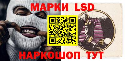 a pvp Краснодар