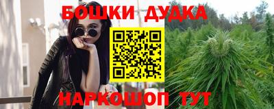 a pvp Краснодар
