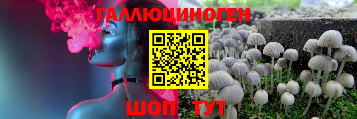 Псилоцибиновые грибы Psilocybe  Вход с VPN  закладка  Малоярославец 